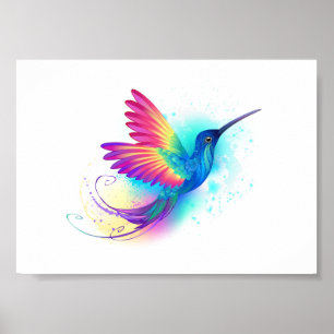 Exotic Rainbow Hummingbird Poster