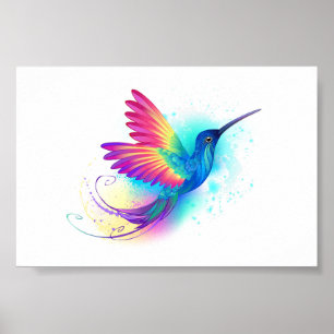 Exotic Rainbow Hummingbird Poster