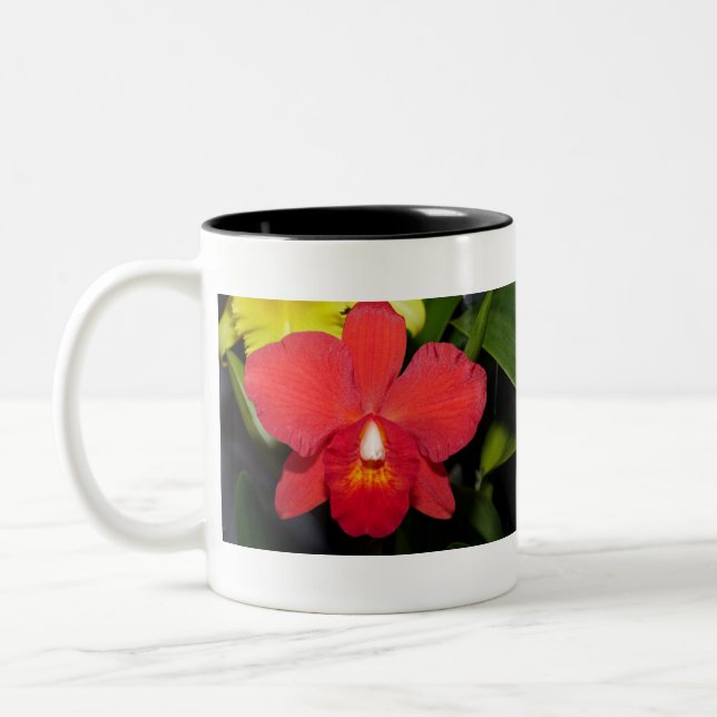 Exotic Red Orchid Zweifarbige Tasse (Links)
