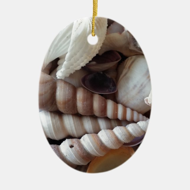 Exotic Seashells Collection, Summer Beach Keramikornament (Vorne)