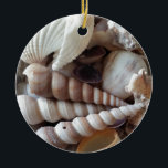 Exotic Seashells Collection, Summer Beach Keramikornament<br><div class="desc">Exotic Seashells Collection,  Summer Beach</div>