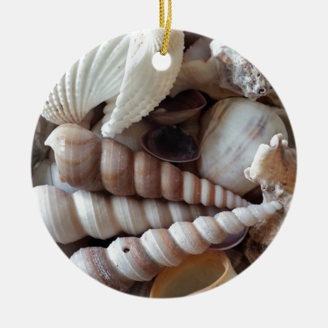 Exotic Seashells Collection, Summer Beach Keramikornament (Vorne)