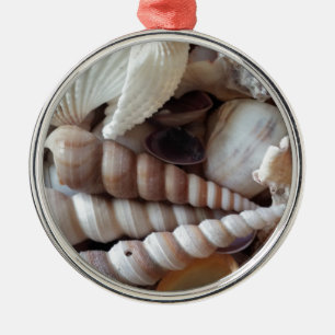 Exotic Seashells Collection, Summer Beach Ornament Aus Metall