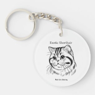 Exotic-Shorthair-Porträt Schlüsselanhänger
