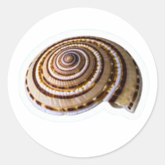 Exotic Tropical Sea Shells - Coastal Nature Collec Runder Aufkleber