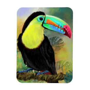 Exotic Tropical Toco Toucan Bird Magnet Geschenk