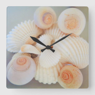 Exotic White Peach Sea Shells, Summer Beach Quadratische Wanduhr