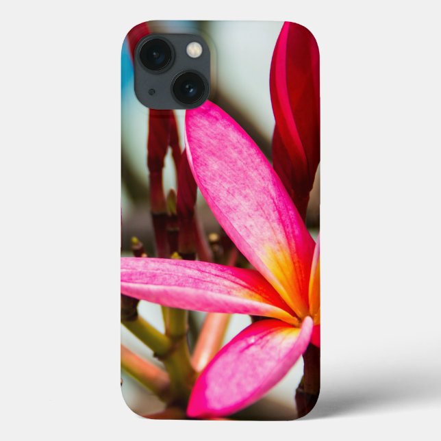 Exotische Blume-Hintergrund-Plumeria blüht Case-Mate iPhone Hülle (Rückseite)