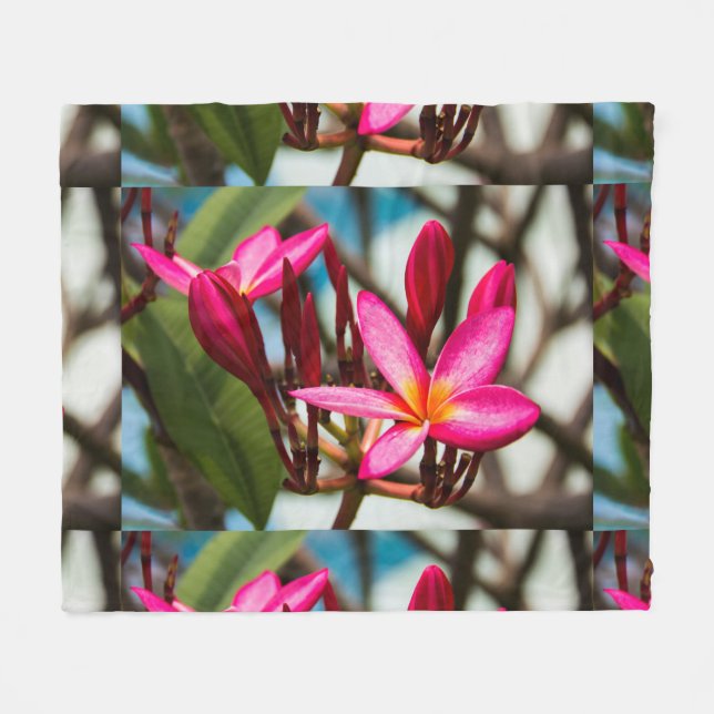 Exotische Blume-Hintergrund-Plumeria blüht Fleecedecke (Vorderseite (Horizontal))