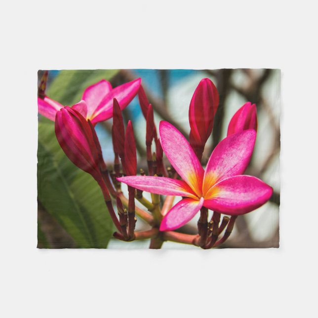 Exotische Blume-Hintergrund-Plumeria blüht Fleecedecke (Vorderseite (Horizontal))