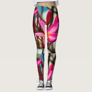 Exotische Blume-Hintergrund-Plumeria blüht Leggings