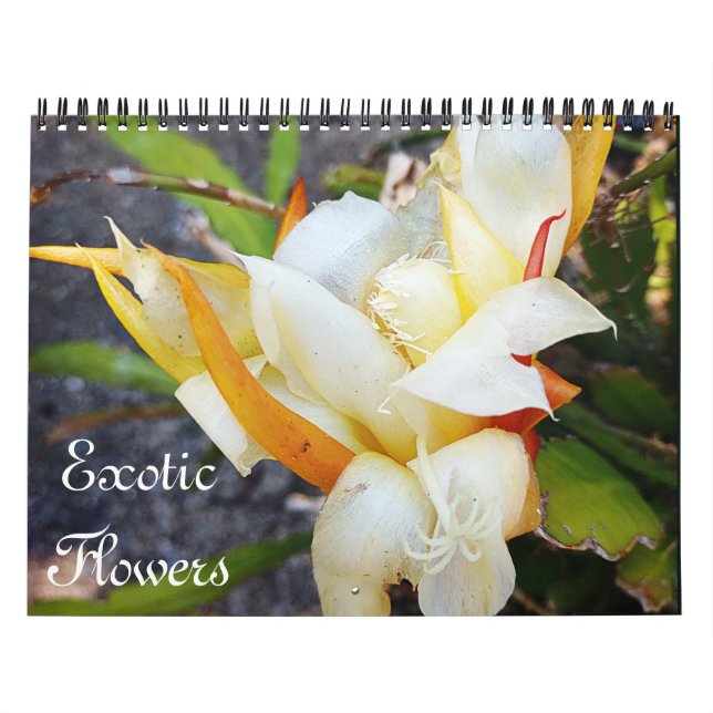EXOTISCHE BLUME KALENDER (Titelbild)