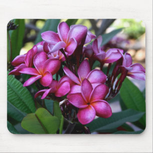 Exotische Blume, Mousepad