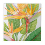 Exotische Blume Wasserfarbe Fliese<br><div class="desc">Exotische Blume Aquarellkunst: Tim Oole</div>
