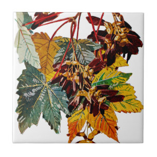 Exotische Flora #3 bei Sunshine Dazzle Fliese