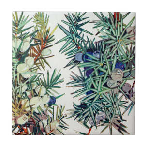 Exotische Flora #7 bei Sunshine Dazzle Fliese