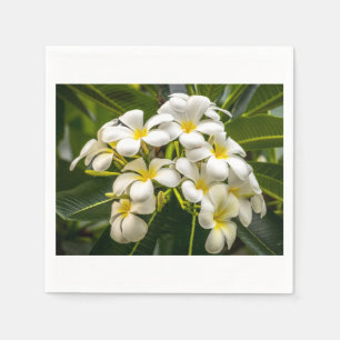 Exotische Inselplumeria-Cocktail-Serviette Serviette