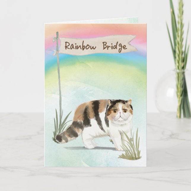 Exotische Kurze Haarkatze Beileid über Regenbogen Karte (Vorderseite)
