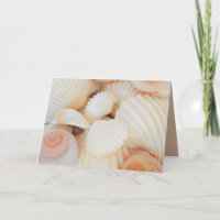 Exotische Muscheln mit weißem Pfirsich, Summer Bea