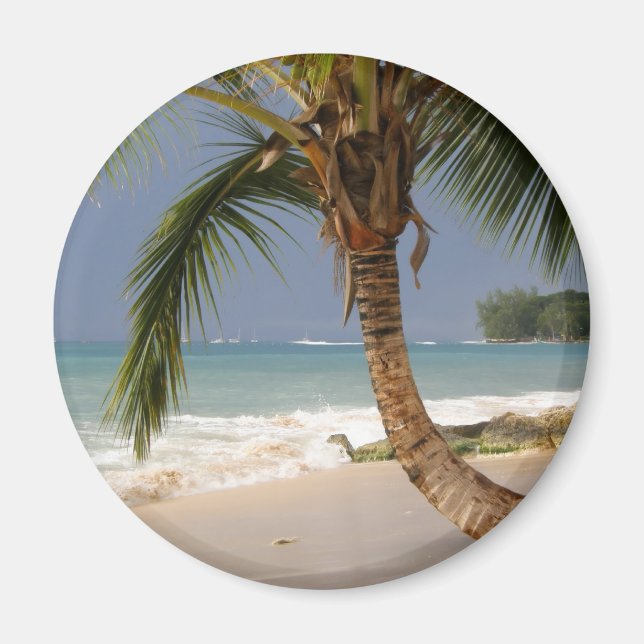 exotische Palmen am Strand Magnet (Vorne)