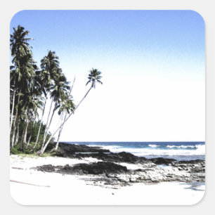 Exotische Palmen & Paradiesstrand Quadratischer Aufkleber