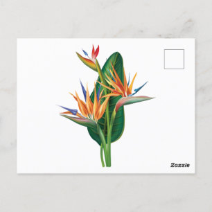 exotische paradiesische Blume Postkarte