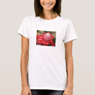Exotische rote Fackel-Ingwer-Blume Behälterspitze T-Shirt