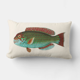 Exotische tropische Fische im Aqua-Blau und dem Lendenkissen