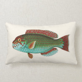 Exotische tropische Fische im Aqua-Blau und dem Lendenkissen