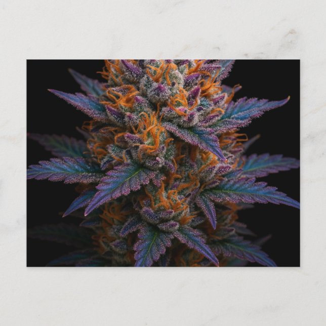 Exotische Unkraut Postkarte (Vorderseite)