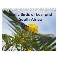 Exotische Vögel des Ostens und des Südafrikas