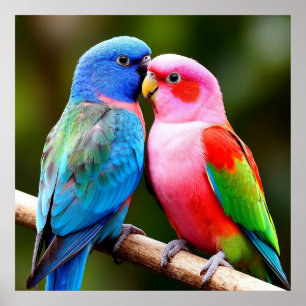 Exotische Vögel gemeinsam auf der Stange Geschenk  Poster