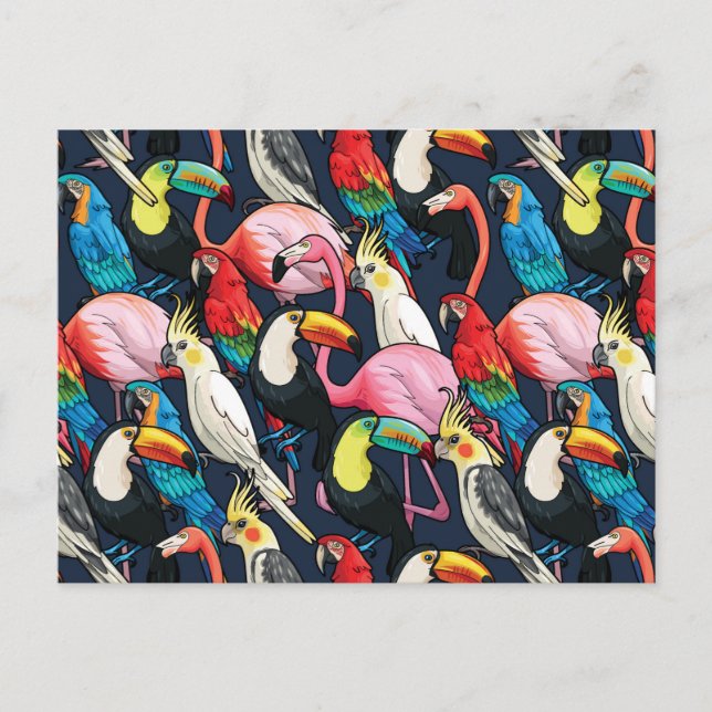 Exotische Vögel Postkarte (Vorderseite)