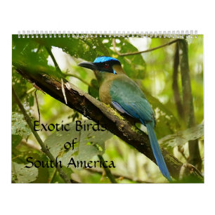 Exotische Vögel von Südamerika-Kalender 2014 Kalender
