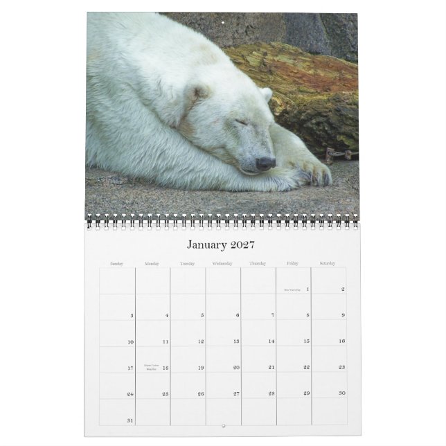 Exotische Wunder 2012 Kalender (Jan 2027)