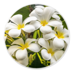 Exotischer Inselplumeria-Griff Keramikknauf