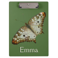 Exotischer Schmetterling aus St. Lucia