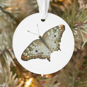 Exotischer Schmetterling aus St. Lucia Ornament