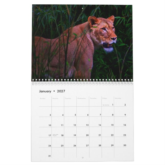 Exotischer Tierkalender Kalender (Jan 2027)