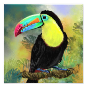 Exotischer Toco-Tukan-Vogelposter-Druck - Malerei Fotodruck