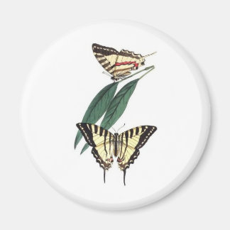 Exotischer Vogel Kühlschrankmagnet Magnet