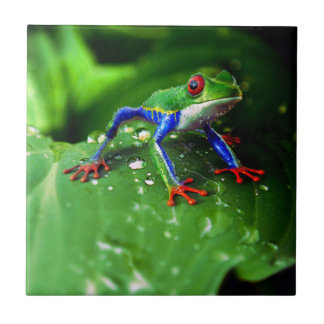 Exotisches buntes Frosch-Blatt Fliese