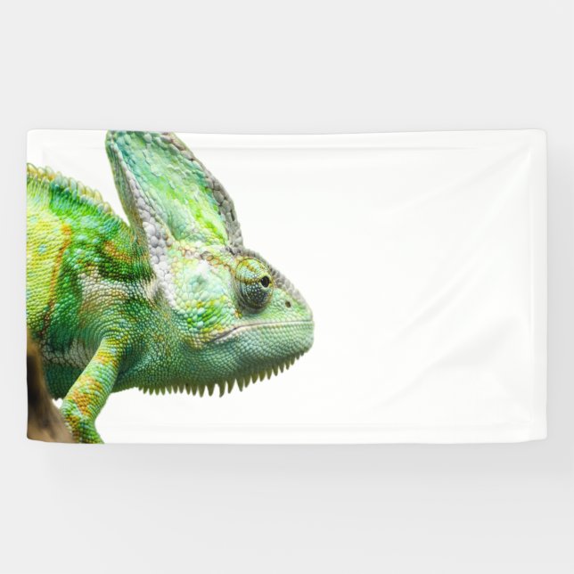 Exotisches Reptil Banner (Horizontal)