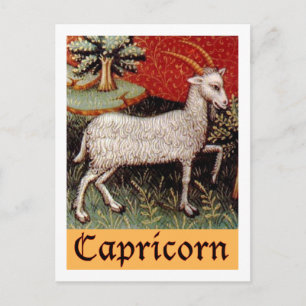 Exotisches Steinbock-Sternzeichen Postkarte