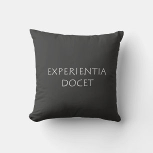 Experientia Docet Kissen