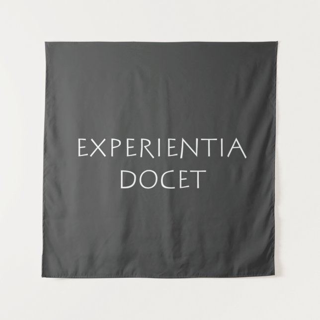 Experientia Docet Wandteppich (Vorderseite)