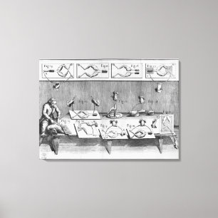 Experiment an Fröschen Leinwanddruck