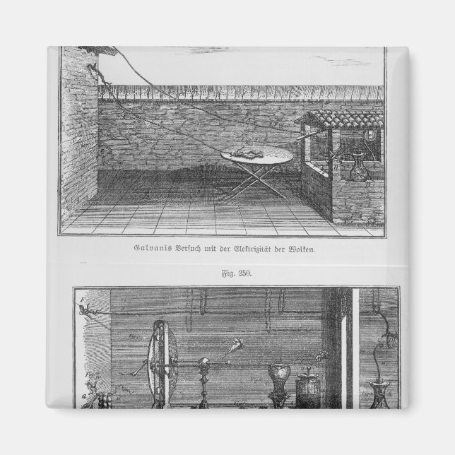 Experiment an Fröschen von Louis Galvani Magnet (Vorne)