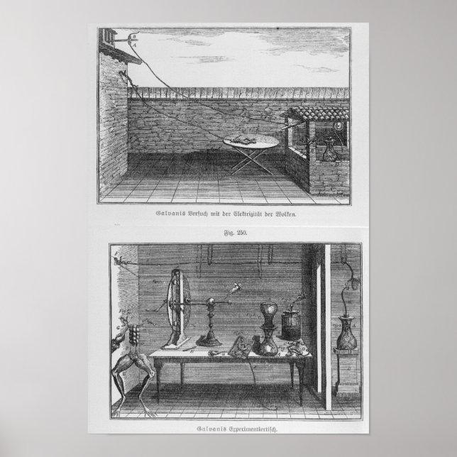 Experiment an Fröschen von Louis Galvani Poster (Vorne)