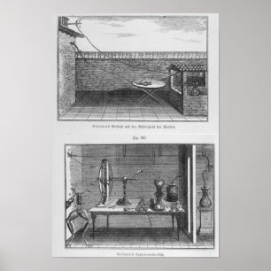 Experiment auf Fröschen durch Louis Galvani Poster